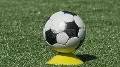 开云体育app评价 产品 093636 aiu