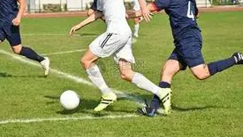 开云体育app评价 产品 103307 mla