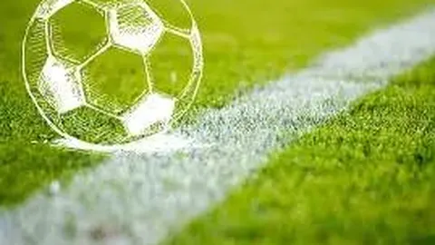 开云体育app评价 资讯 103235 wia