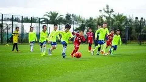 开云体育app评价 资讯 103313 nby