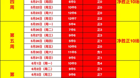 开云体育评价 130527 9